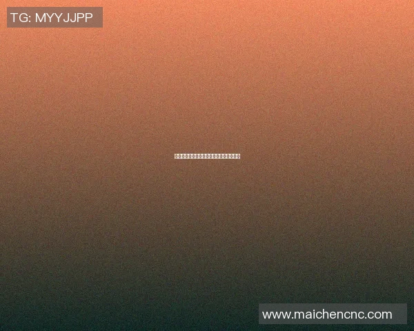 荷兰足球巨星范梅的职业生涯与成就全解析