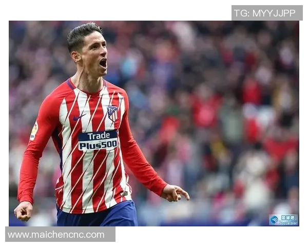 足球明星托雷斯头像的魅力与传奇故事探秘